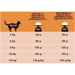 Purina VD Feline Obesity Management