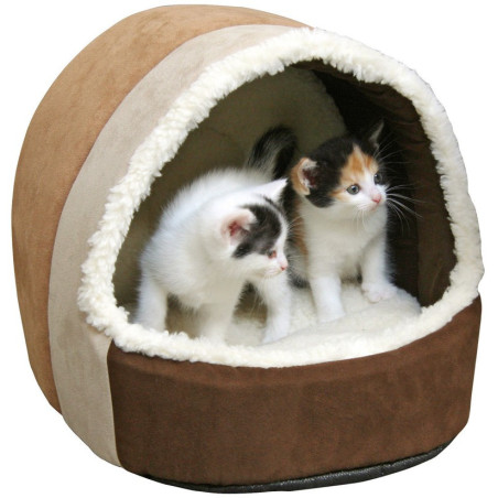 Cueva Amy Kerbl