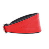 Collar de Piel para Galgo