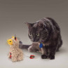 Peluche Kong Kitten