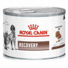 Royal Canin Recovery Perros/Gatos
