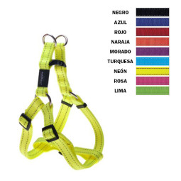 Petral Rogz Classic Varios Colores
