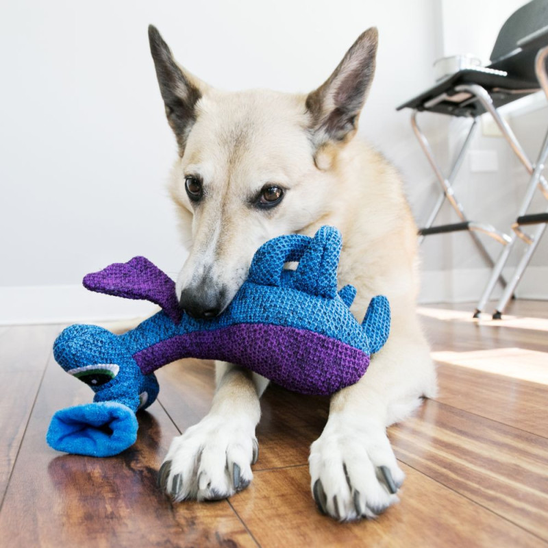 Kong Blue Woozles