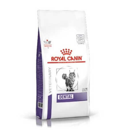 Royal Canin Dental para gatos