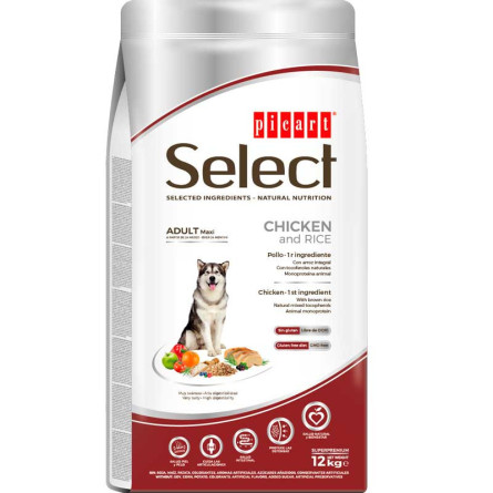 Select Adult Large Breed Chiken&Rice