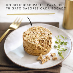MULTIPACK TARTALETTE PARA GATOS GOURMET