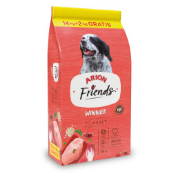 ARION FRIENDS DOG WINNER