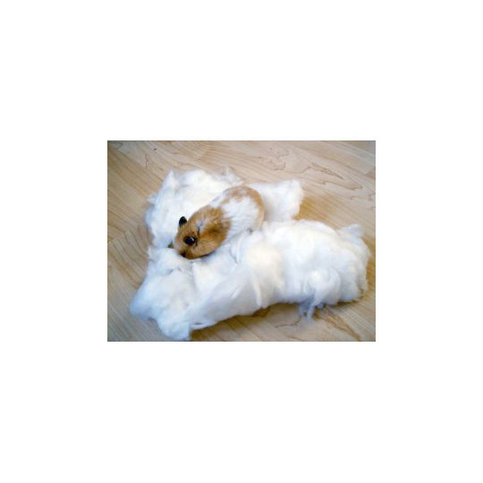 ALGODON BLANCO HAMSTER ZOO BEST