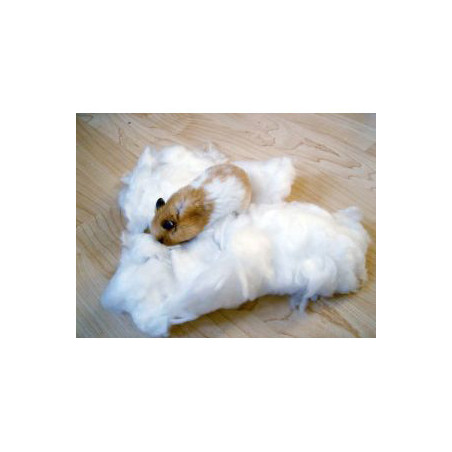 ALGODON BLANCO HAMSTER ZOO BEST