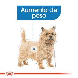 Royal Canin Comida Humeda Light Weight Care