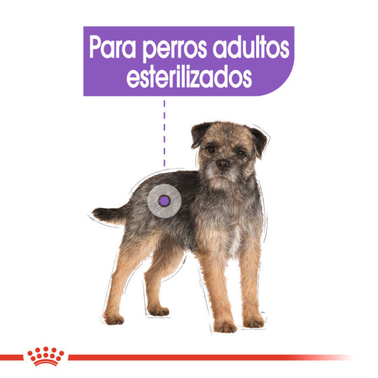 Royal Canin Comida Humeda Sterilised