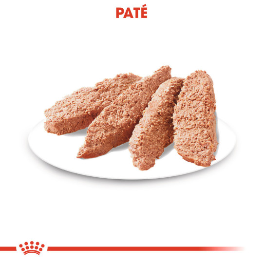 Royal Canin Comida Humeda Sterilised