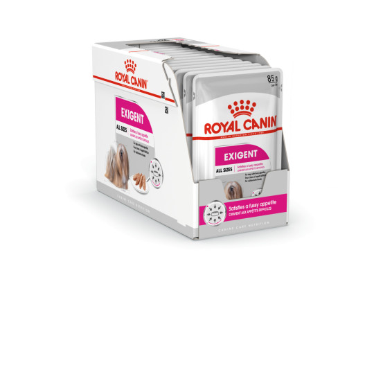 Royal Canin Comida Humeda Exigent