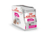 Royal Canin Comida Humeda Exigent