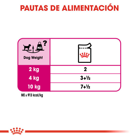 Royal Canin Comida Humeda Exigent