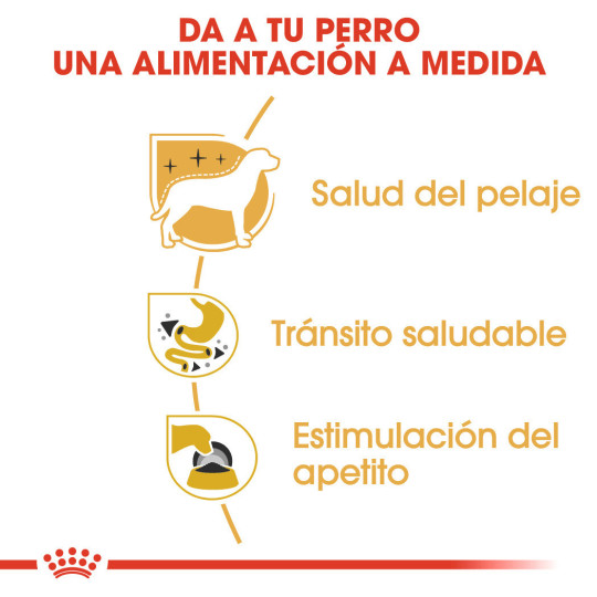 Royal Canin Comida Humeda Chihuahua
