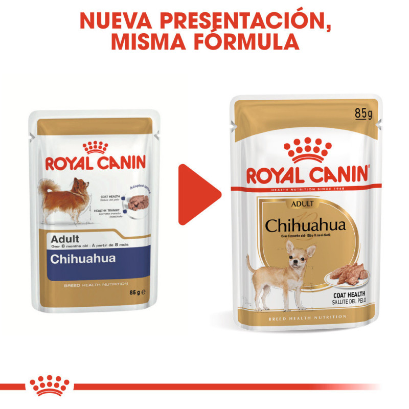 Royal Canin Comida Humeda Chihuahua