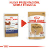 Royal Canin Comida Humeda Chihuahua