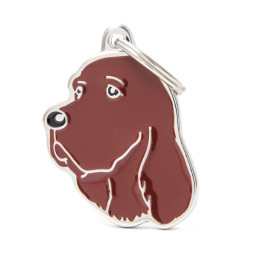 Setter Irlandés