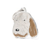 Spinone Spinone