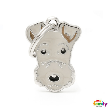 Fox Terrier