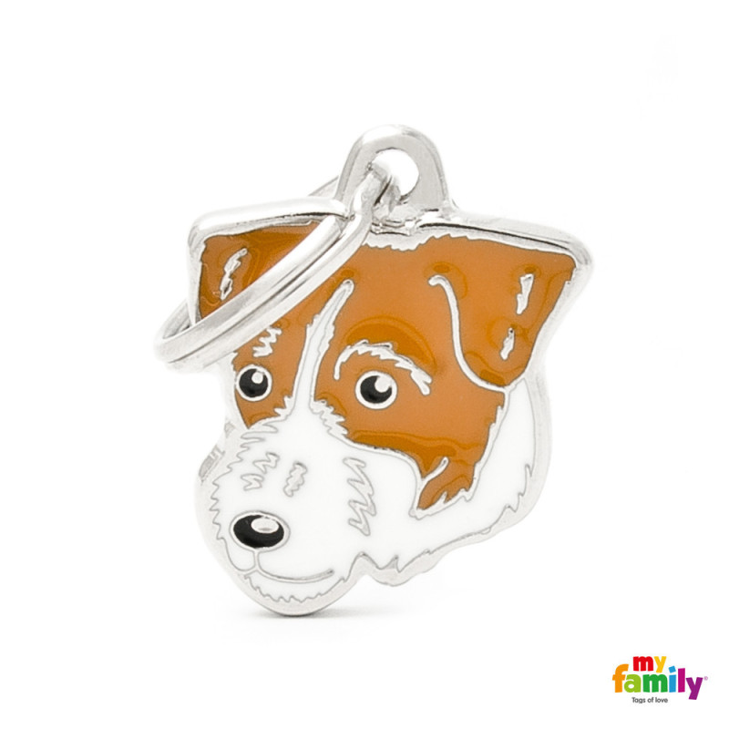 Jack Russell Pelo Duro