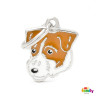 Jack Russell Pelo Duro