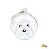 BICHÓN BOLOÑÉS