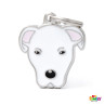Dogo Argentino