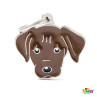 Labrador