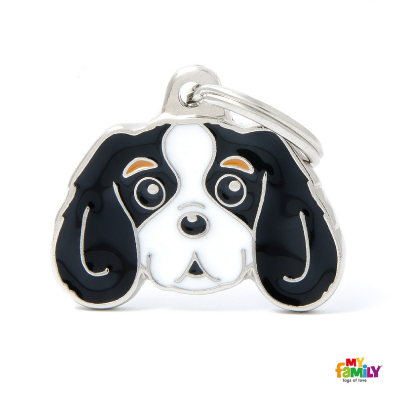 Cavalier Spaniel