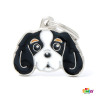 Cavalier Spaniel