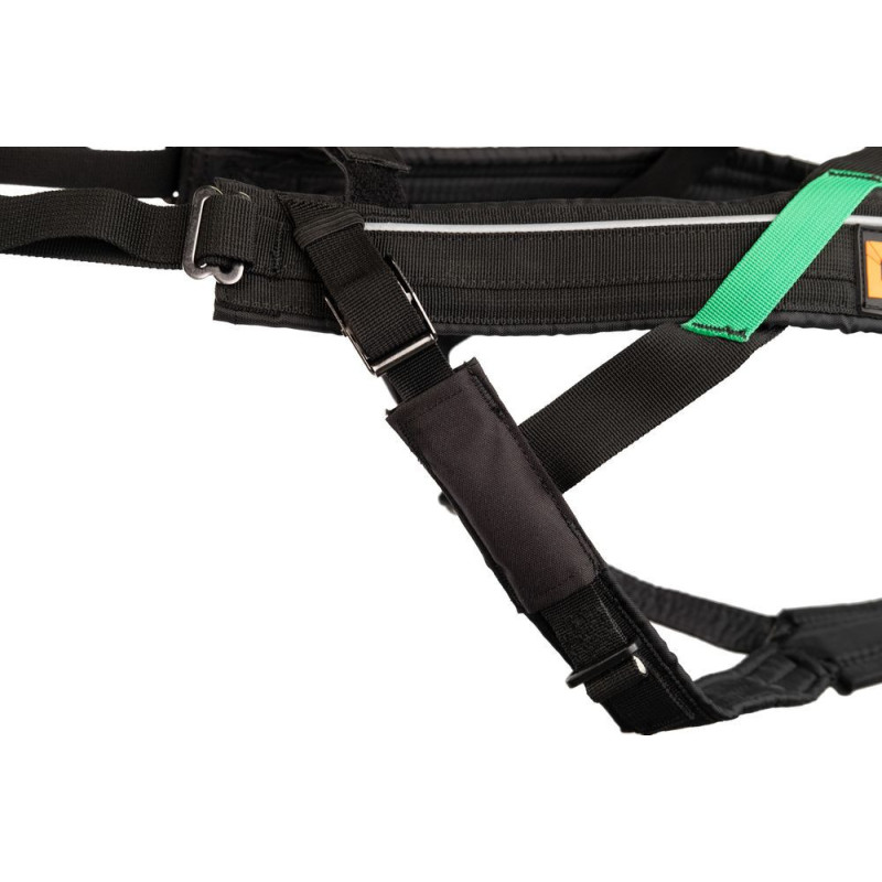 Arnes dogwear freemotion