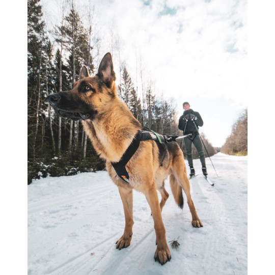 Arnes dogwear freemotion