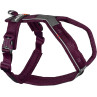 Arnes dogwear non stop line 5.0