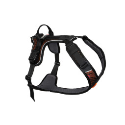 Arnes Dogwear Rock XL