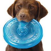 Discos y frisbees para perros - Tienda de animales en Zaragoza, Superguau