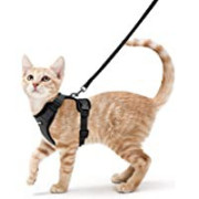 Productos para viajes y paseo de tu gato-zaragoza-superguau