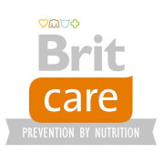 -Brit care